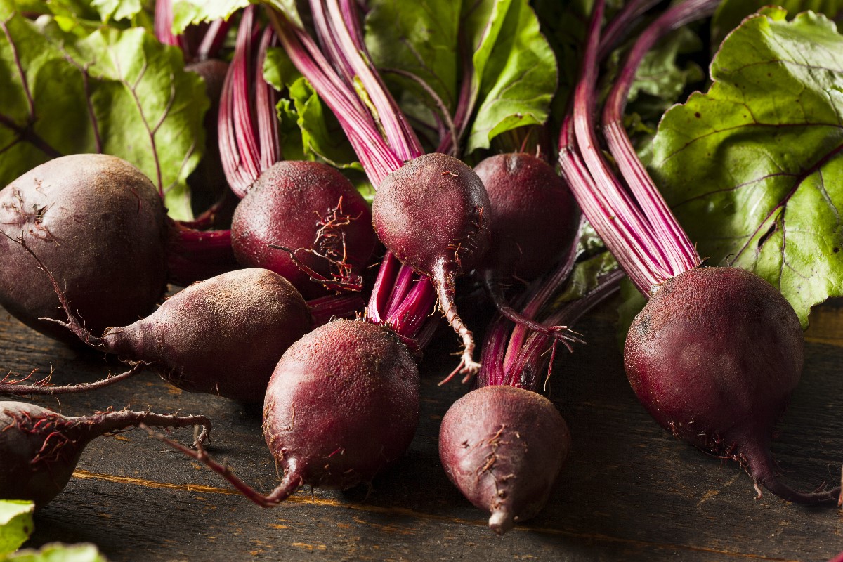 Raw Organic Red Beets Farm Safety Nova Scotia Safe Farming. Safe