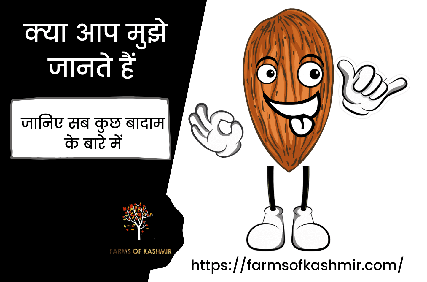 Badam in Hindi (बादाम ) के बारे में जानिए सब कुछ बहुत फाइयेमंद है