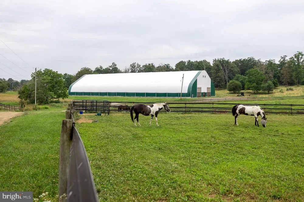 Russel Rd Berryville Farms of Virginia