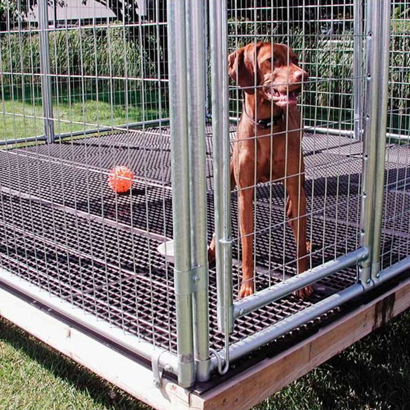 Luxury 50 of Flooring For Dog Kennels bjs81