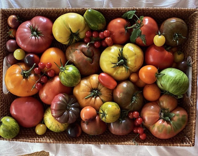 Best Tasting Heirloom Tomato Varieties (sweetest to most robust