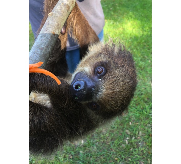 Animal Ranch Tours