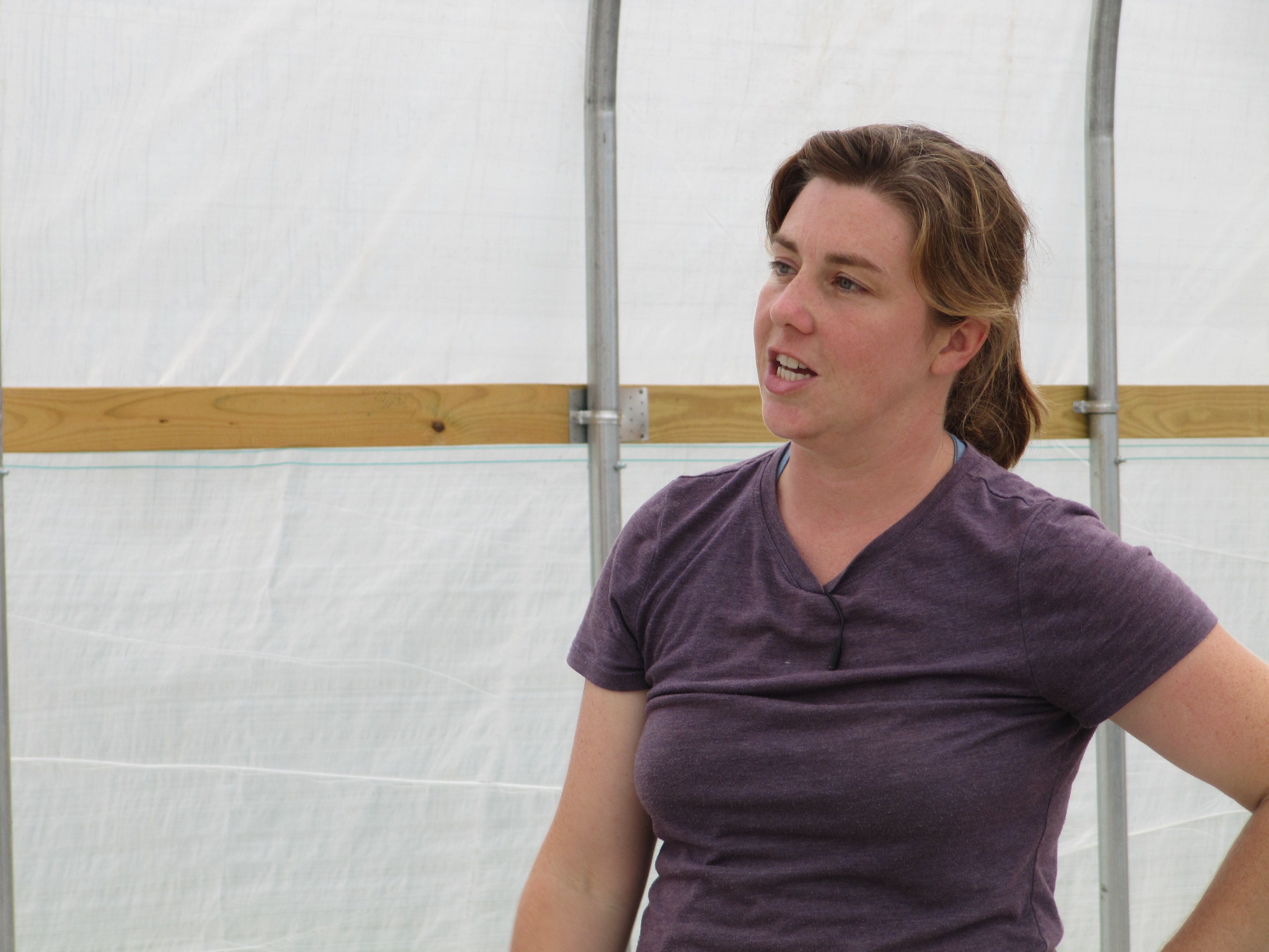 Narrowing the gap Stillman Quality Meats and the Turkey Farm Farm Values