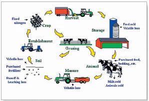 Chapter 8: Quality of Corn Silage - Farmwest