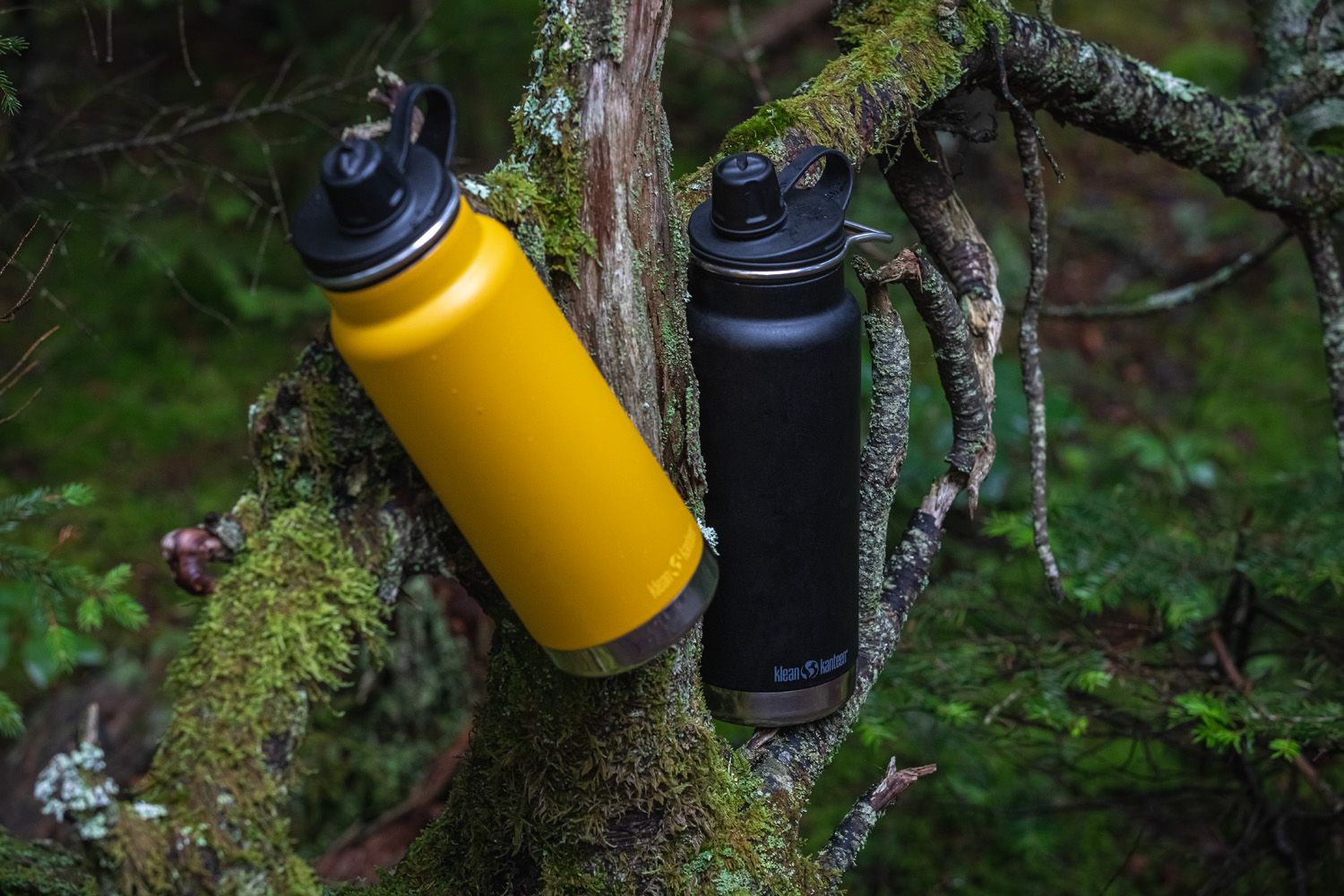 Review drinkfles Klean Kanteen TKWide met Chug Cap
