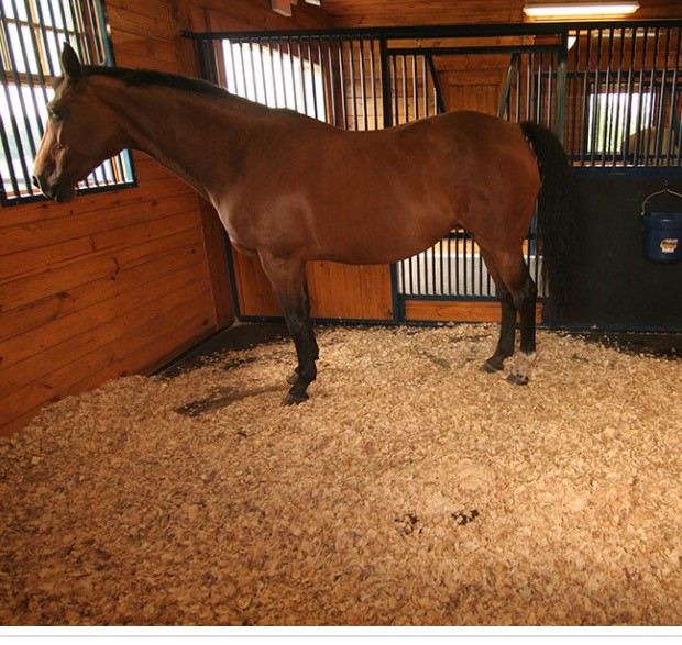 Animal Bedding Ireland Farrell Fencing