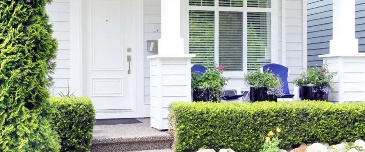 The Cost Of Boxwood Hedges Farrell's Lawn & Garden Center