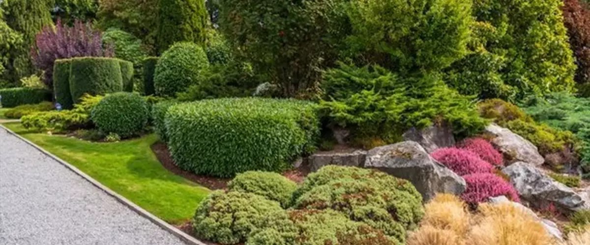 How Much Does Commercial Landscaping Cost & What Changes It Farrell's