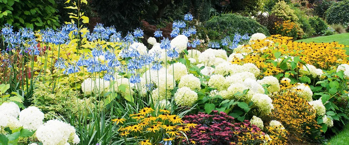 Low Maintenance Perennials For Ohio's Climate And Landscapes Farrell