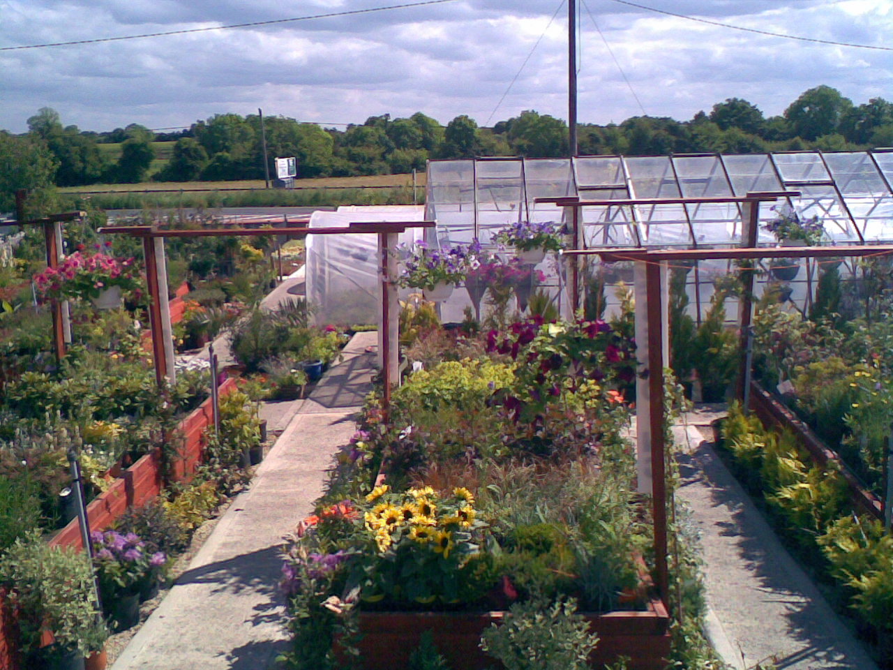 farrells nursery