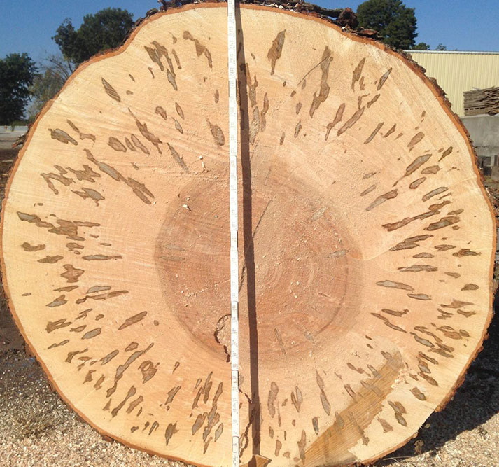 Standing Timber Farrow Lumber Company