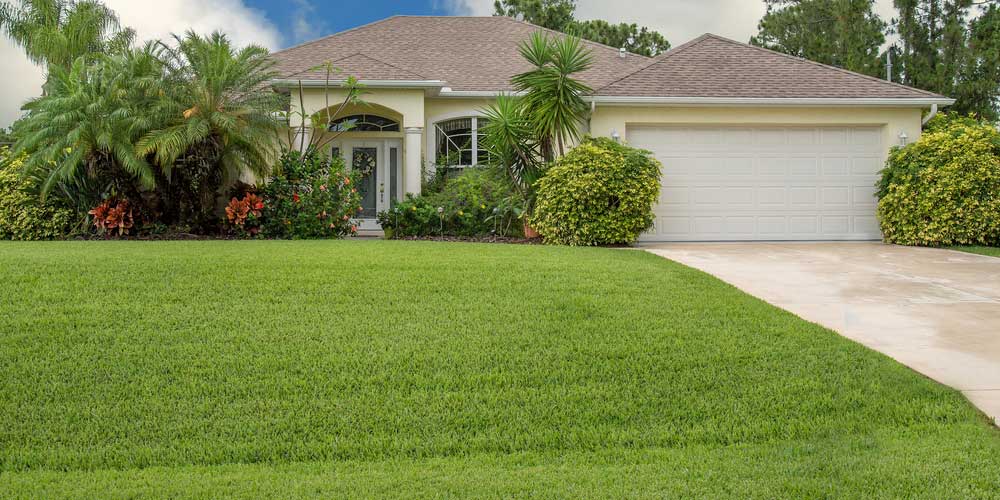 Lawn Care in Bayshore Gardens, FL Pest Control Bayshore Gardens