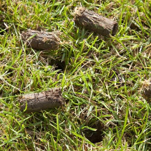 Lawn Aeration & Soil Testing Additional Services Farrow