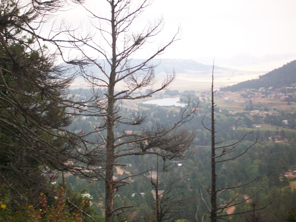 More views of Palmer Lake