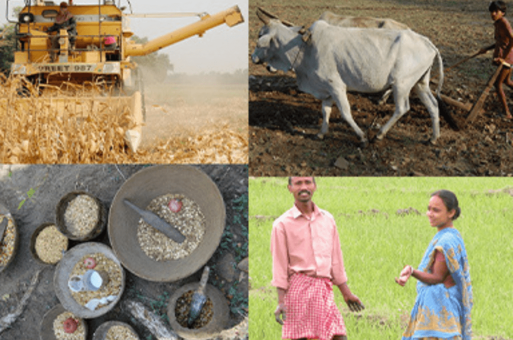 Understanding Agrarian Relations in India FAS Foundation for