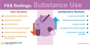 Substance Use Flint Adolescent Study