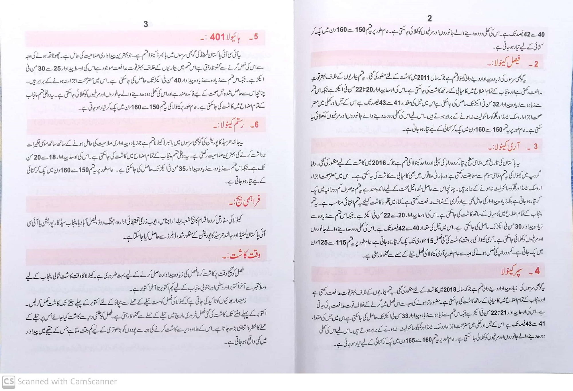 Canola in Urdu cultivation in Pakistan / کینولہ کی کاشت