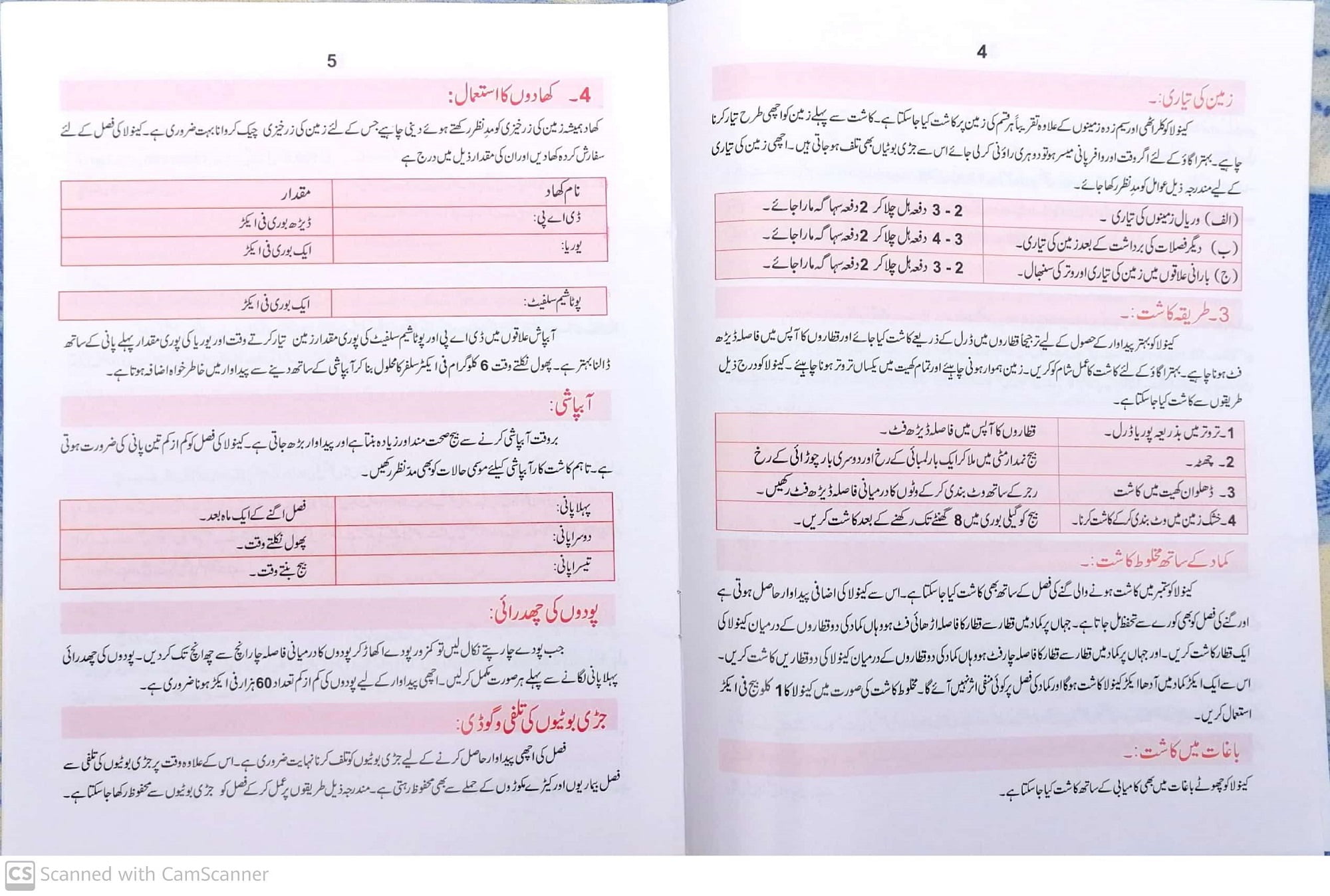 Canola in Urdu cultivation in Pakistan / کینولہ کی کاشت