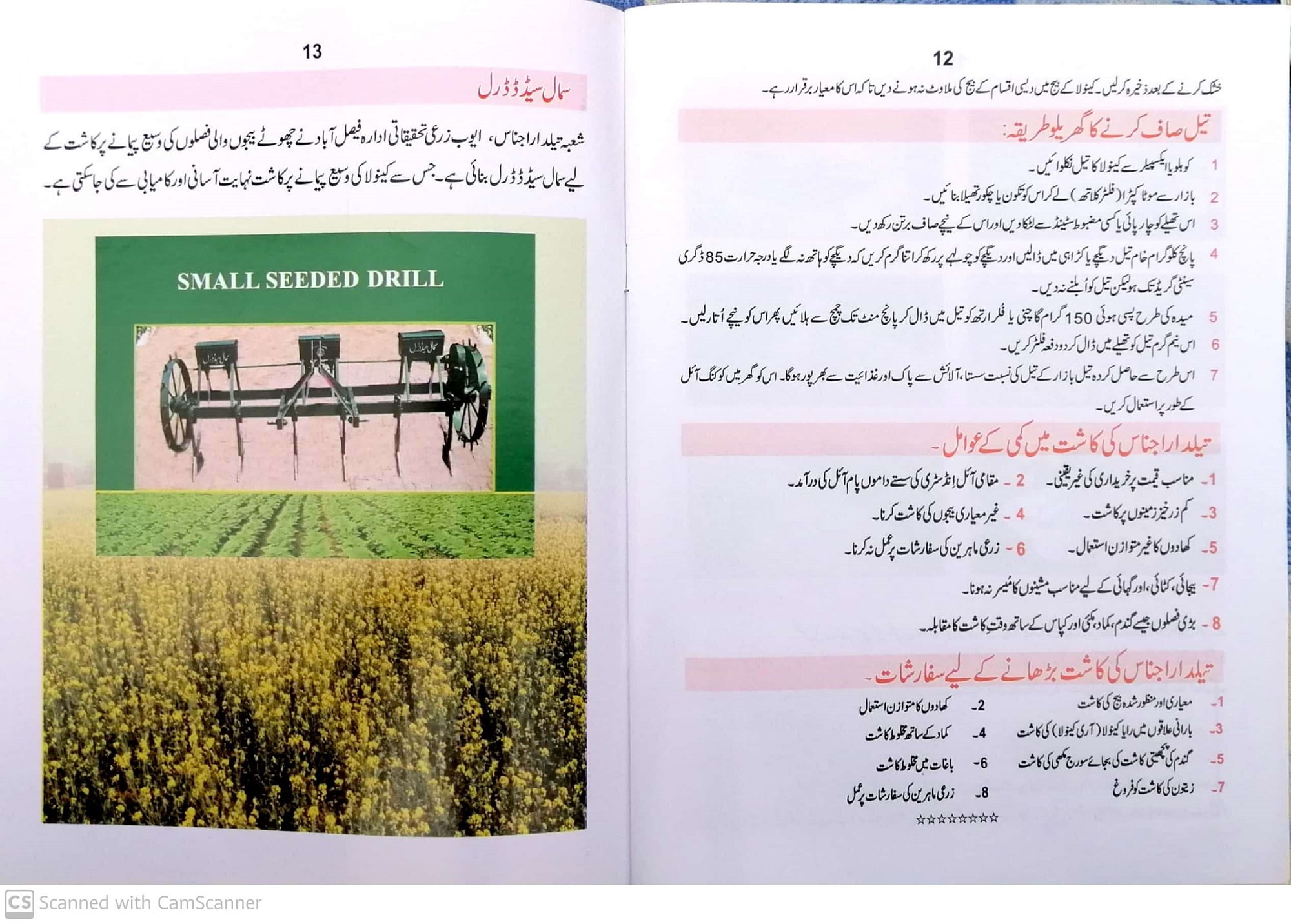Canola in Urdu cultivation in Pakistan / کینولہ کی کاشت