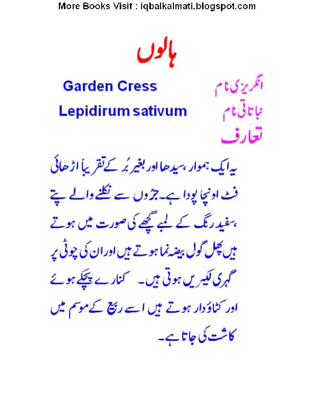 Grow Halim Seeds in Urdu / Aliv / Garden Cress / ہالوں