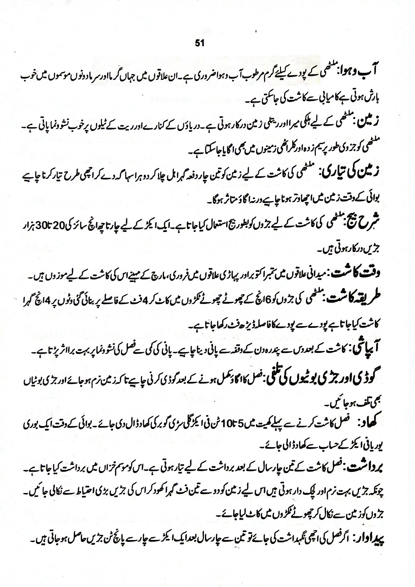 Licorice in Urdu ملٹھی / Glycyrrhiza glabra