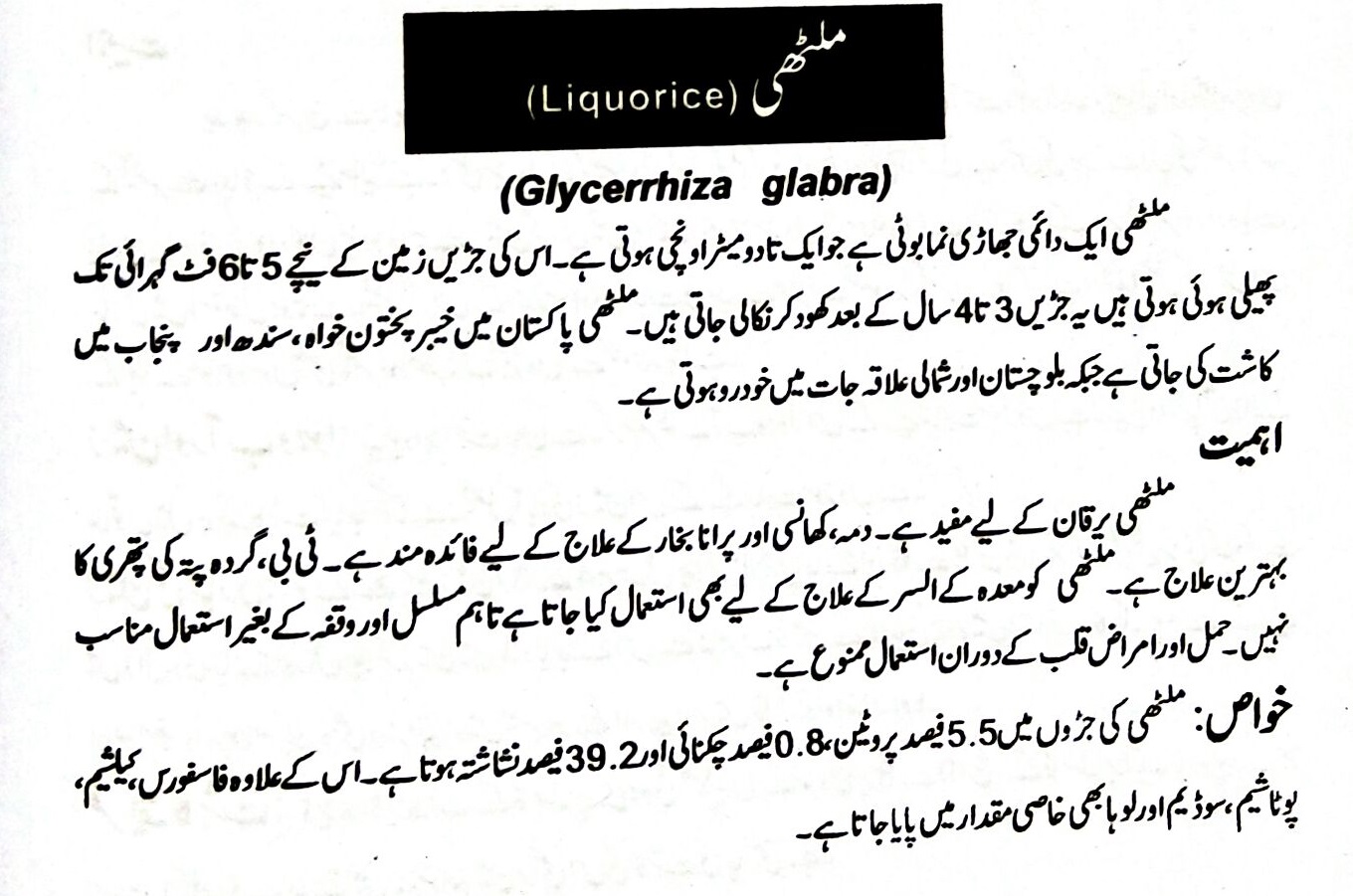 Licorice in Urdu ملٹھی / Glycyrrhiza glabra