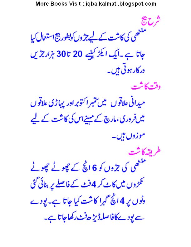 Licorice in Urdu ملٹھی / Glycyrrhiza glabra