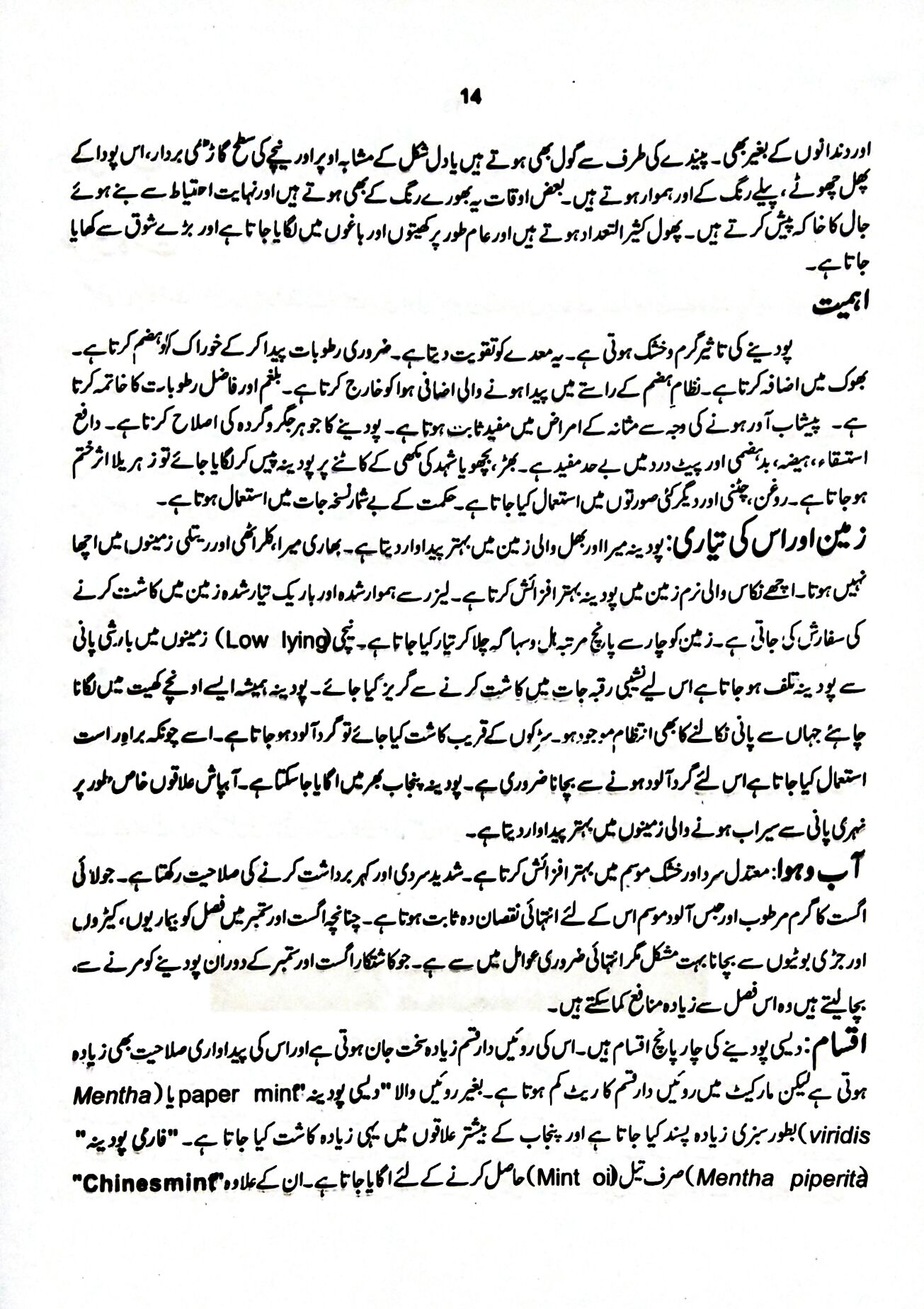 Mint Meaning in Urdu & its Cultivation Methods پودینہ کی کاشت