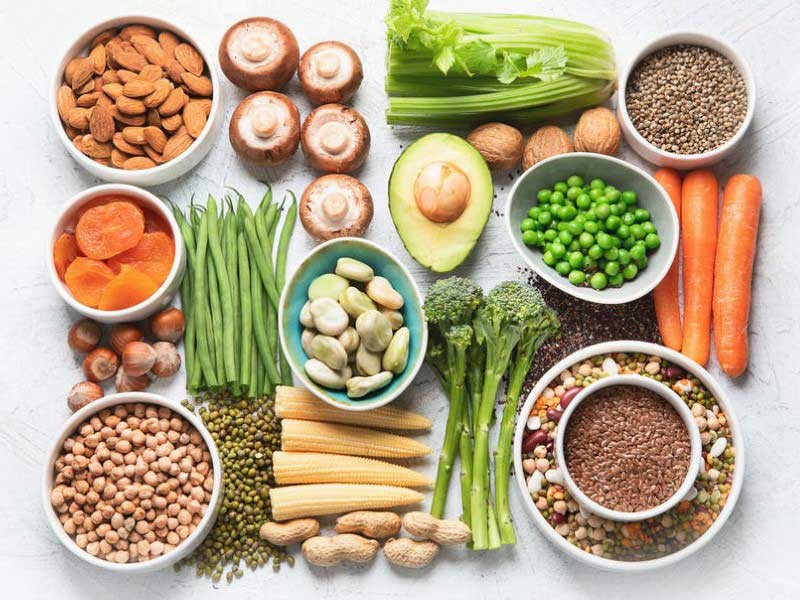 A vegetarian diet can break the bones of the body, says research