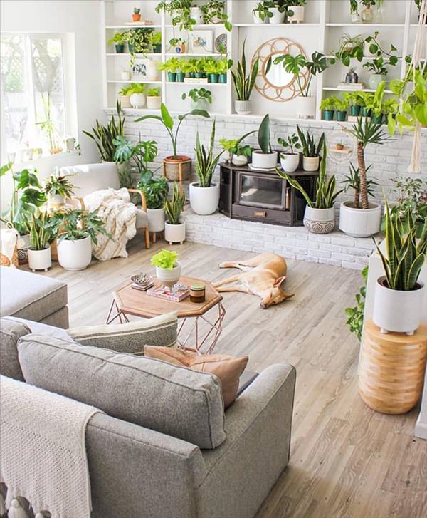 Green plants home decor ideas Create the most pleasant home Fashionsum