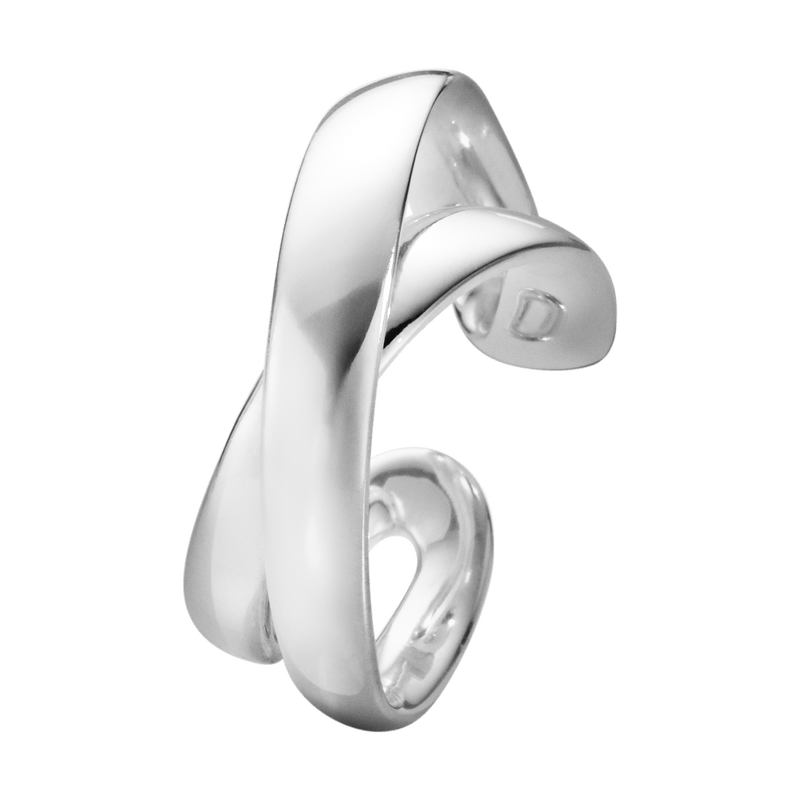 Silver Infinity Ring Understanding the Different Types of Silver