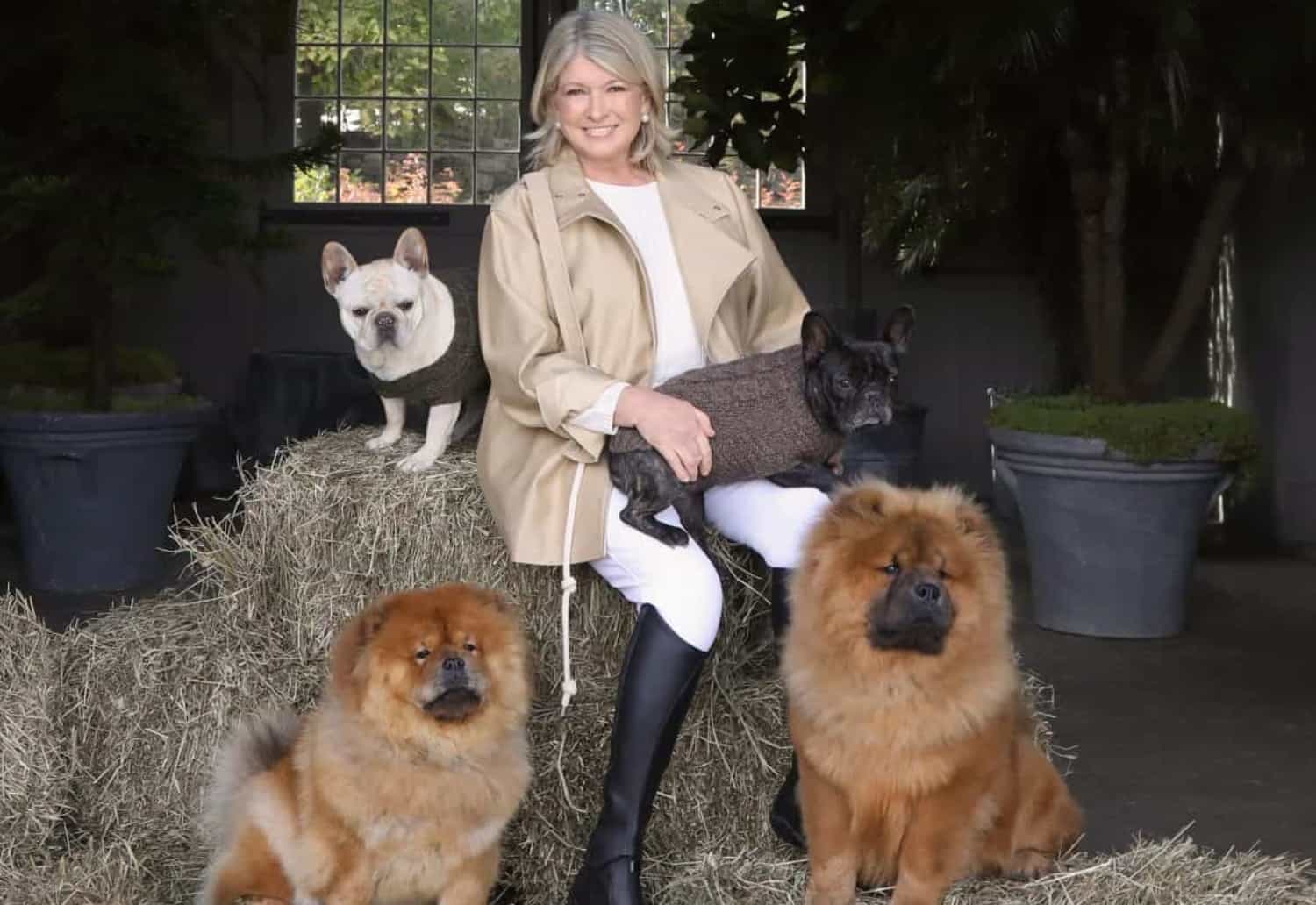 Martha Stewart Wants To *Chill Out* Your Pets With Her New CBD Line
