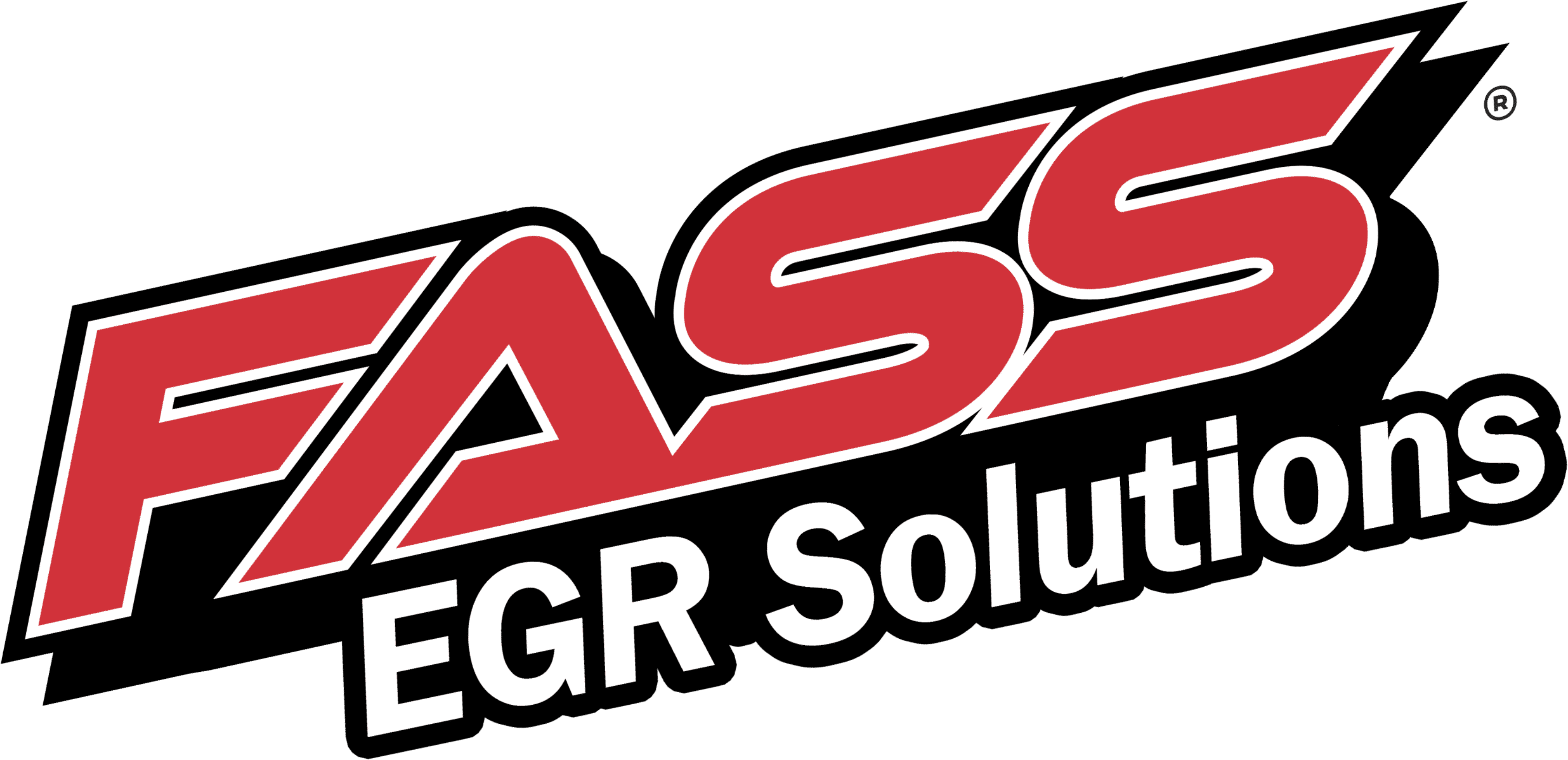 EGR Filter System for Ford 6.7 Powerstroke 20172019 (EGRF17) FASS EGR Solutions