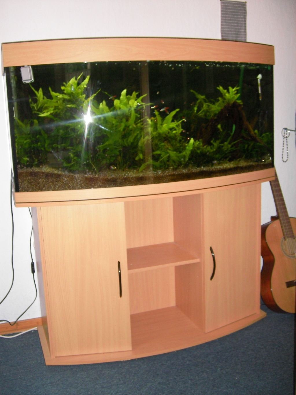 Kleinanzeigen Aquarien und Zubehör Seite 11