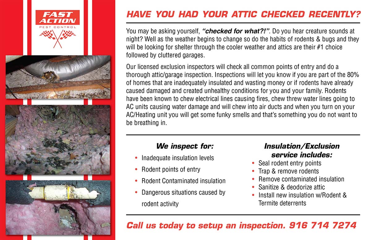 Fast Action Pest Control. Elk Grove Insect & Rodent Exterminators