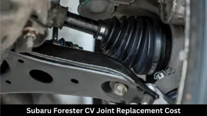 Subaru Forester CV Joint Replacement Cost – Details Explained! - FAST