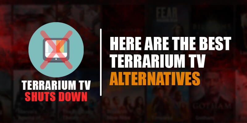 Terrarium TV shuts down Terrarium TV is no more working 2019