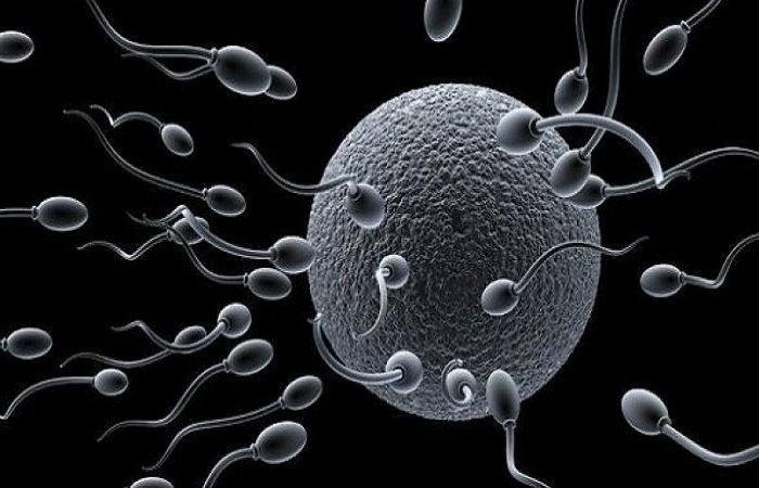 Is it normal for sperm to leak after sexual intercourse? - Fastlyheal