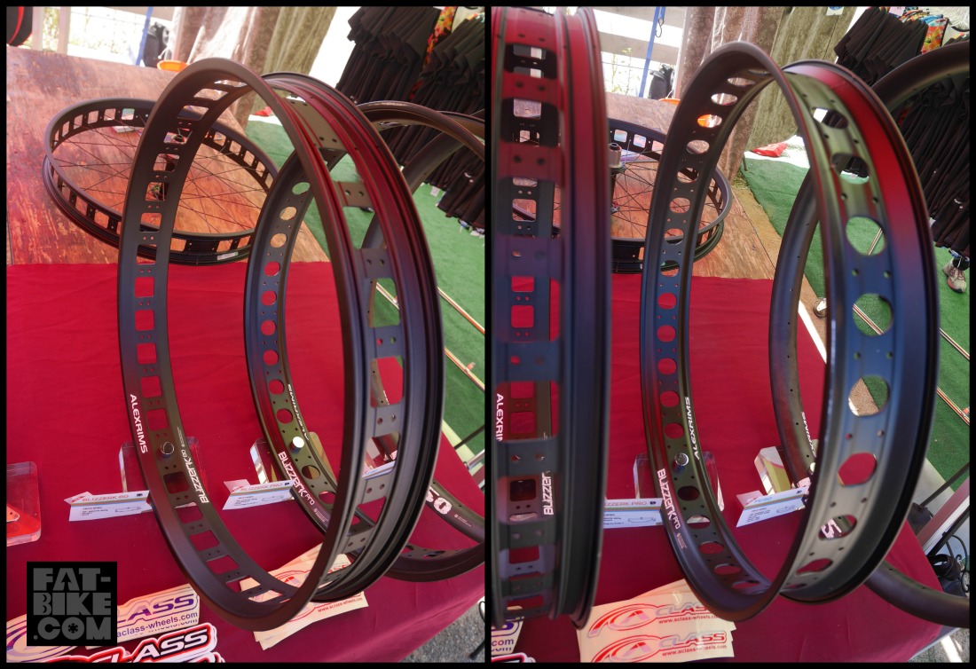 It’s Not Just About the Bees Sea Otter Day 1 Part 2