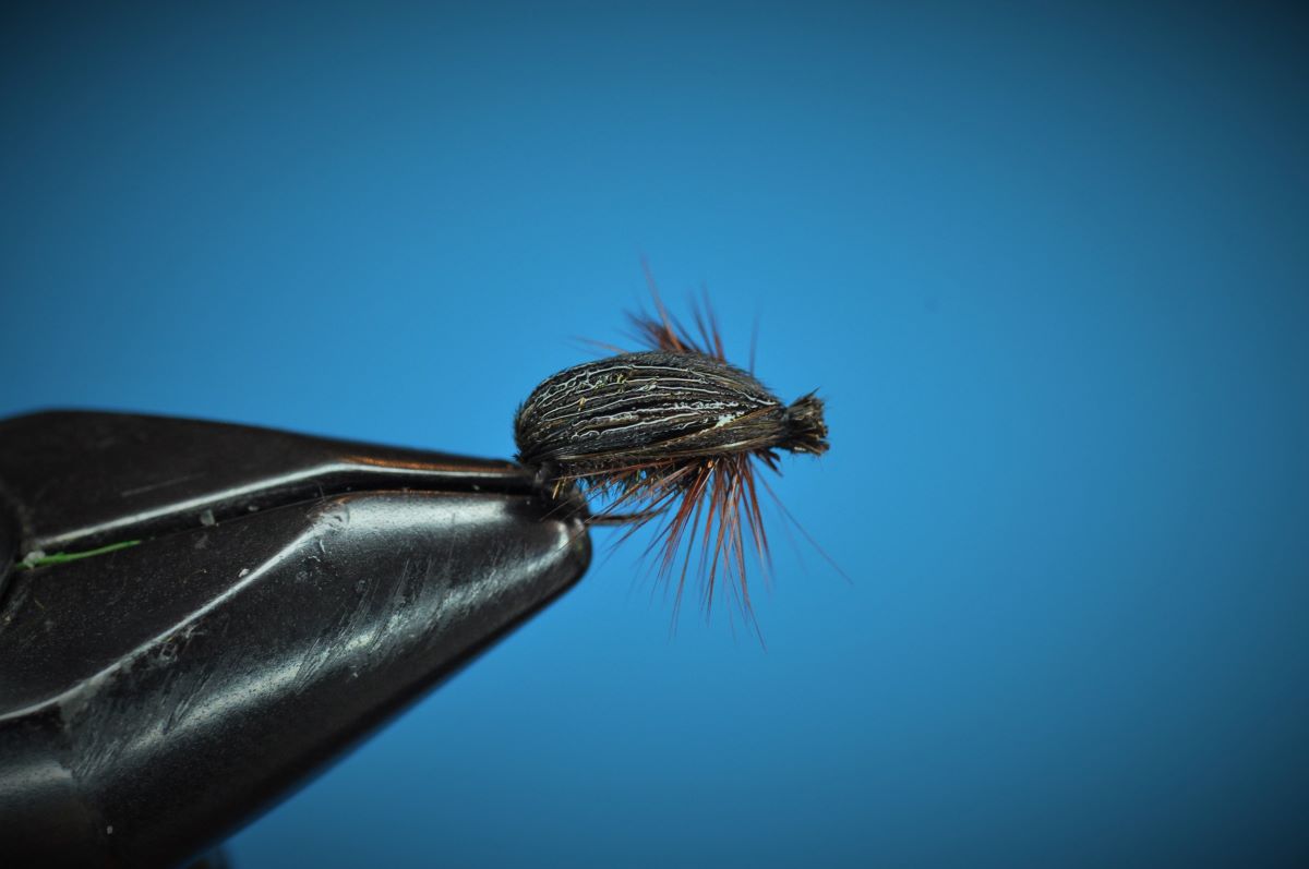 Beetles Step by Step Patterns & Tutorials Fly Tying