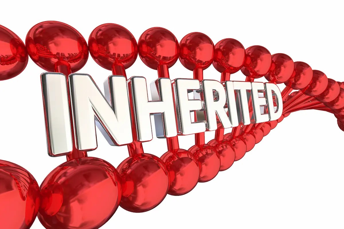 What Is a Family Trait? Definition, Meaning, And Examples - FatherResource