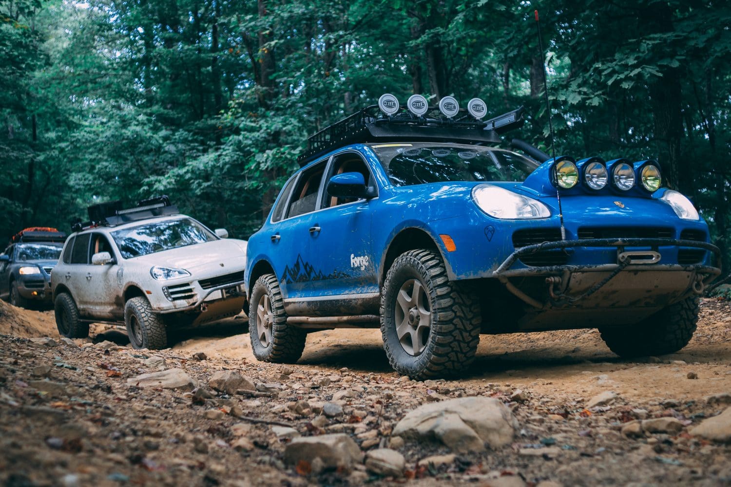 Gelände The Eurowise Cayenne Fatlace™ Since 1999