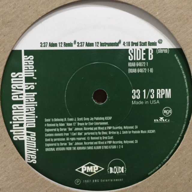 Adriana Evans Seein' Is Believing (Roots Remix & Jeru