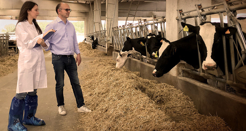 Benessere Animale FATTORIE CREMONA