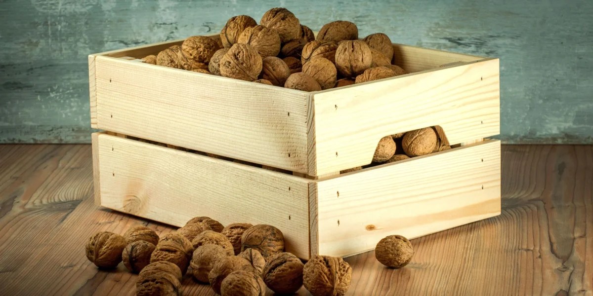 Fatty Liver Reversal With The Aids Of These Foods Fatty Liver Guide