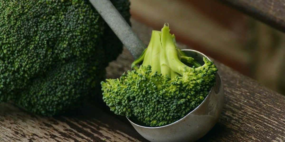 Broccoli helps prevent cancer and NAFLD Fatty Liver Guide