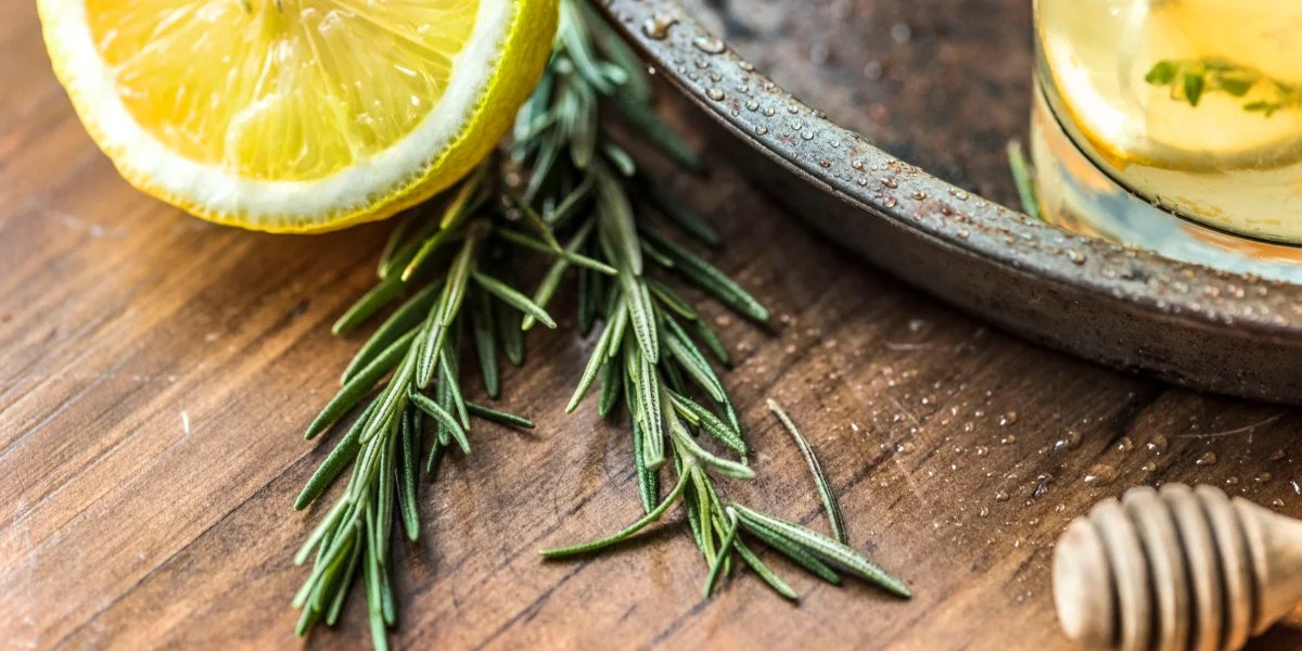 Rosemary A memory enhancer for your diet Fatty Liver Guide