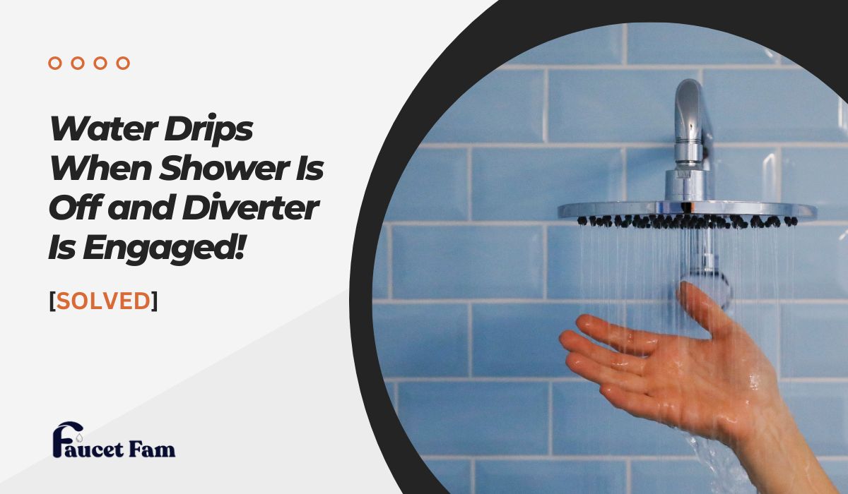 Water Drips When Shower Is Off and Diverter Is Engaged [Solved