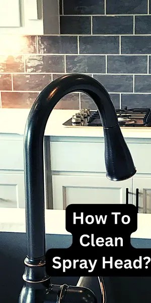 How To Clean Delta Kitchen Faucet Spray Head?