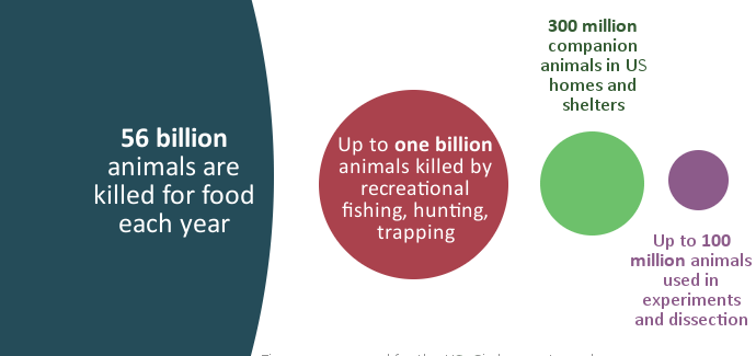 Animal Advocacy By Numbers - Faunalytics